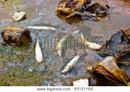 water pollution