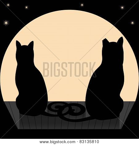 Cats On A Roof