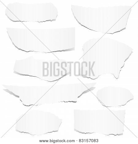 Collection - White Scraps Of Paper
