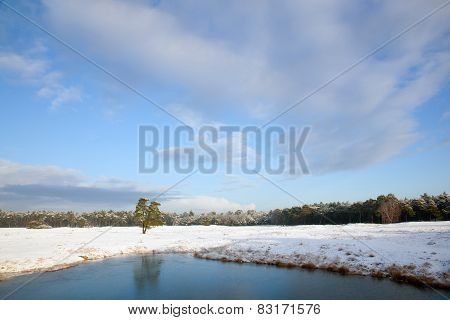Landscape In Holland With Snow And Frozen Pond Near Zeist