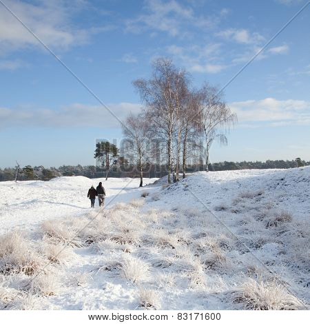 Couple Walks Near Zeist In Winter