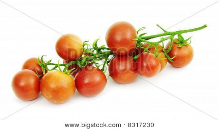 มะเขือเทศบนพื้นหลังสีขาว