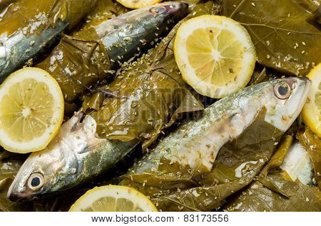Mackerel ready for baking in vine leaves, with olive oil, lemon and oregano, a traditional Greek dish with small mackerel or sardines