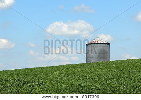 Silos w polu soi