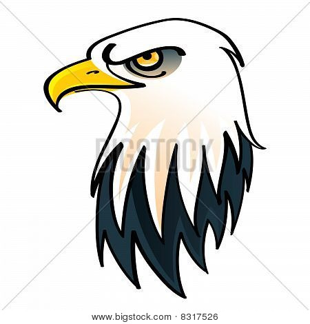 Aquila calva
