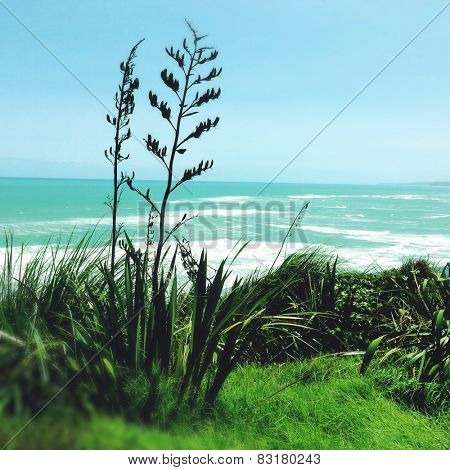 Shoreline and water, Raglan, New Zealand