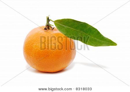 Mandarin