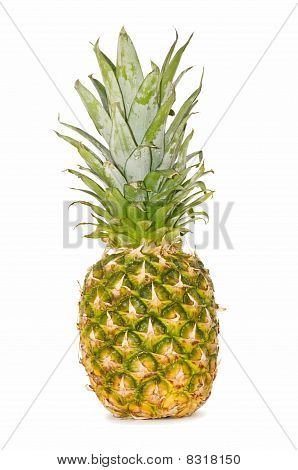 Ananas