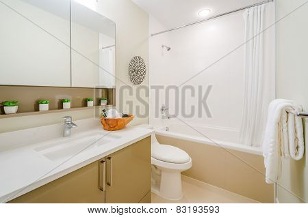 Modern bathroom interior.