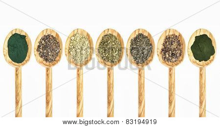 a collection of seaweed and algae dietary supplements on wooden spoons - spirulina, bladderwrack, kelp, sea lettuce, walame, Irish moss, chlorella (from left to right)