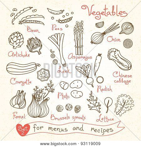 Set drawings of vegetables for design menus, recipes and packages product