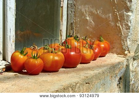 Tomatoes on the window