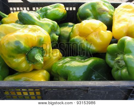 Green And Yellow Peppers In Box
