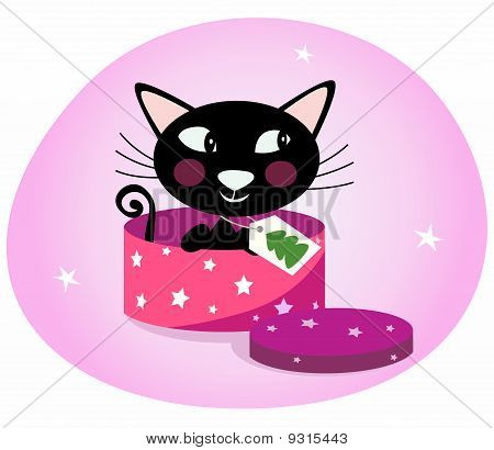 Black Christmas-Kätzchen in einem rosa Geschenkkarton