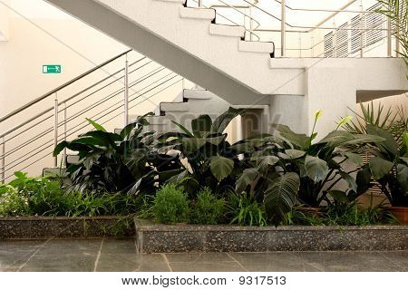 Piante in ufficio
