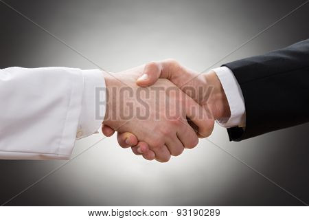 Doctor And Businessman Shaking Hand