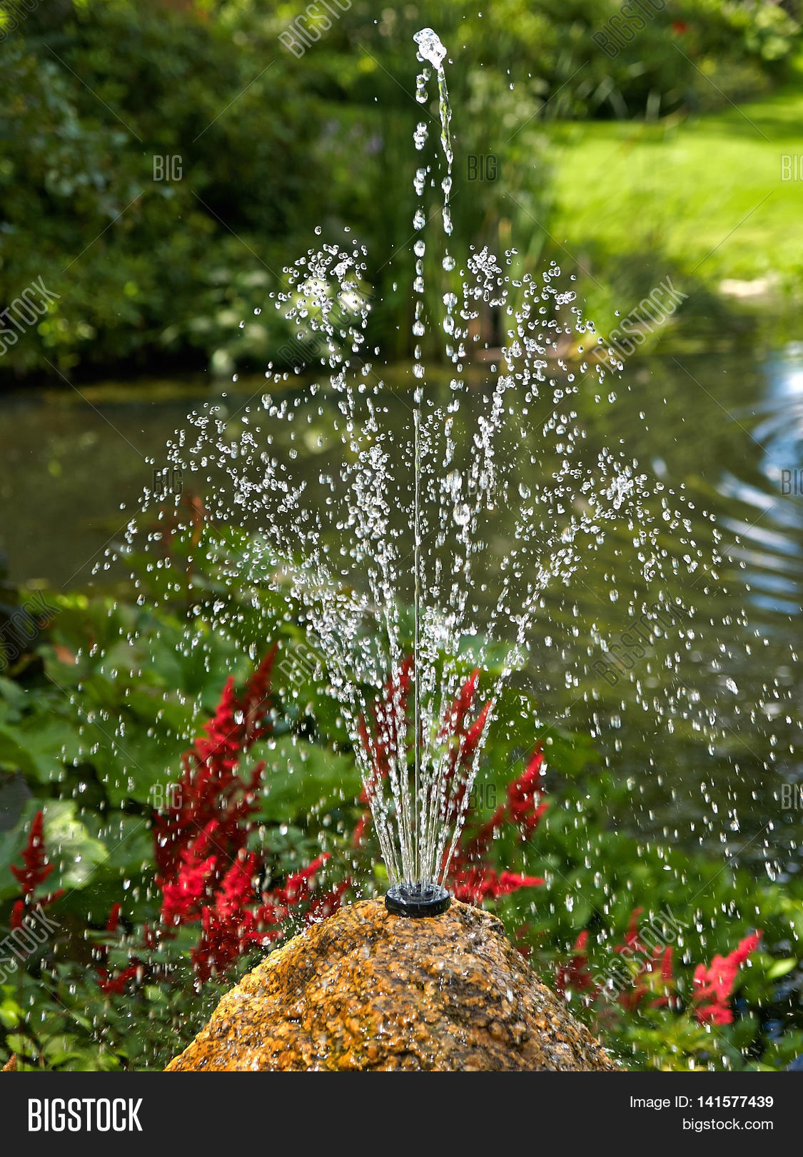 Ornamental Pond Water Image & Photo (Free Trial) Bigstock