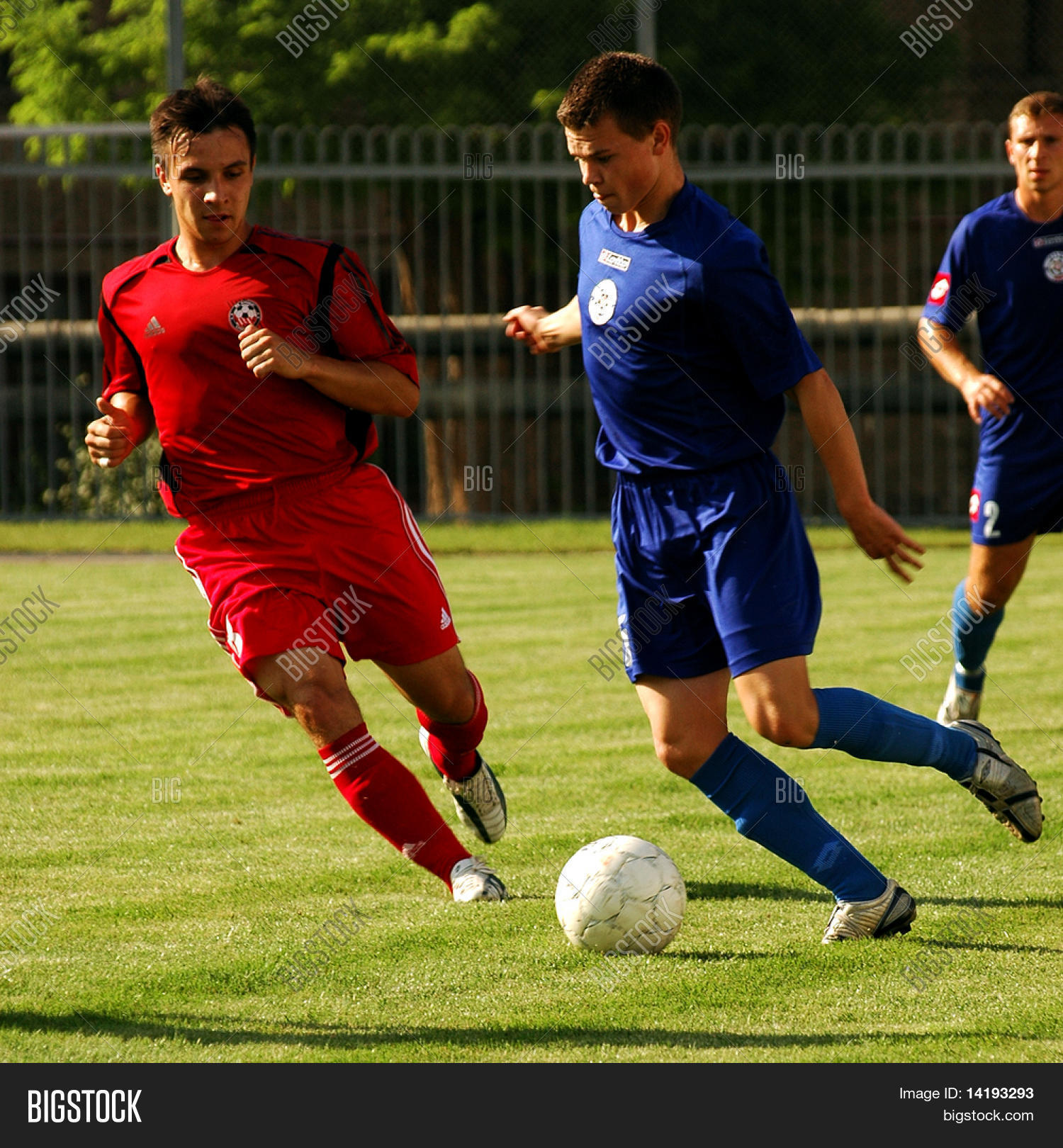 Image Preview