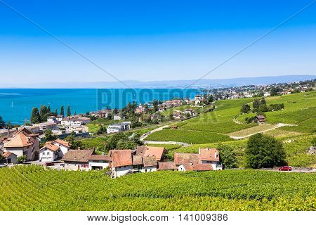 Vineyards In Lavaux Region - Terrasses De Lavaux Terraces, Switzerland
