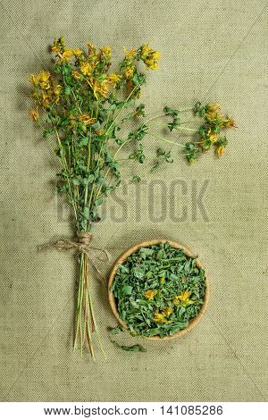 Tutsan.Dried herbs for use in alternative medicine.Herbal medicine phytotherapy medicinal herbs.For preparation of infusions decoctions tinctures powders ointments tea.Background green cloth