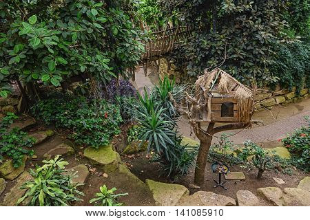 Dovecote for wild pigeons in the tropical pavilion.