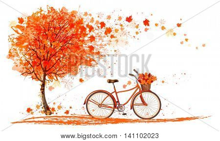 Autumn background with a tree and a bicycle. Vector