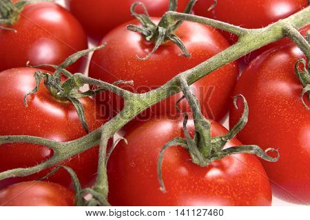 Group of fresh cherry tomatoes on a branch. Tomatoes background.