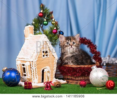Cute kitten near gingerbread lodge with Christmas gifts and toys over blue background