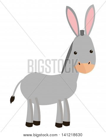 flat design donkey cartoon icon vector illustration