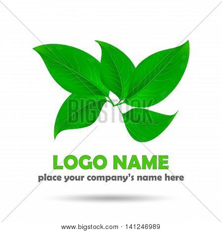 Beautiful realistic green leaves on white. Eco concept logo. Vector illustration.