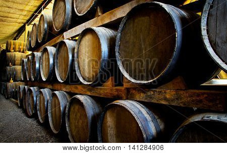 Wine barrels stacked in the old cellar of the winery.