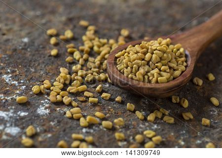 Fenugreek seeds in wooden spoon on texture background