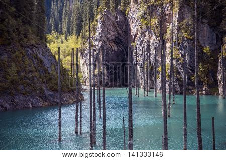 Kaindy Lake in Tien Shan mountain system Kazakhstan