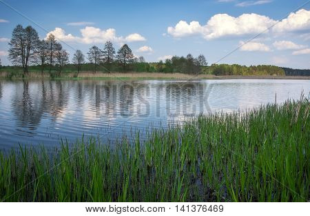 Beautiful spring landscape with river trees and blue sky. Composition of nature