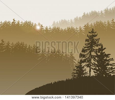 Vector Illustration of Forest and mountains in Skaetch style for Design, Website, Background, Banner. Fir tree silhouette Element Template