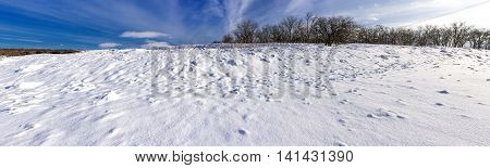 panorama of snow covered field with trees