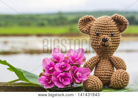 Single bear doll and flowers on nature background