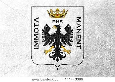Flag Of L'aquila With Coat Of Arms, Italy, Painted On Leather Texture
