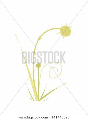 Vector illustration of summer wild herbs.Monochrome silhouettes isolated on white background. Elegant design element.