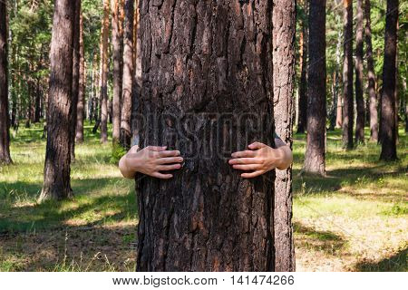 Girl Hugging A Tree In The Forest