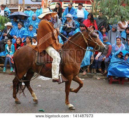 Cajamarca Peru - February 8 2016: Peruvian paso horse with rider in costume prances in parade in Cajamarca Peru on February 8 2016