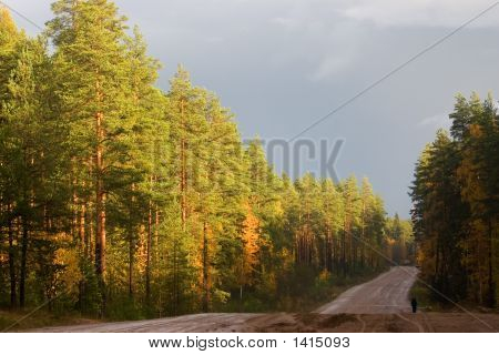 Osamělý cestovatel na podzimní cestě