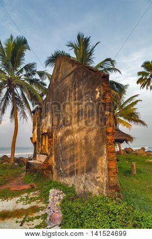 Tsunami destruction crash house ruins wildlife travel