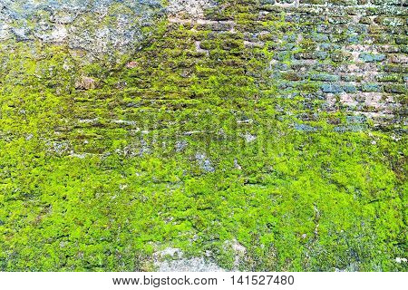 Old Grunge Stone Walll Background Green Moss.