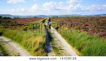Old macadam road on the hill near Bridport in Dorset England
