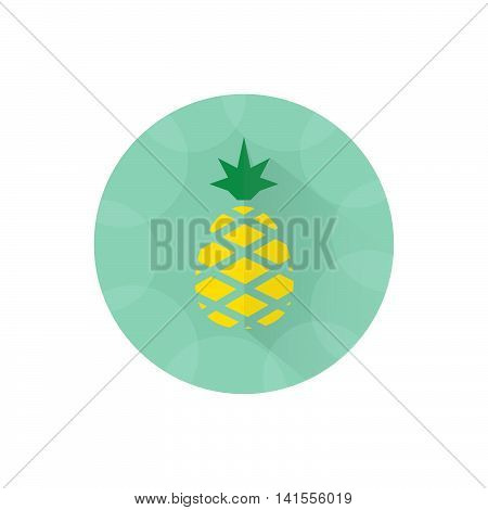 pineapple icon flat design , cartoon ananas