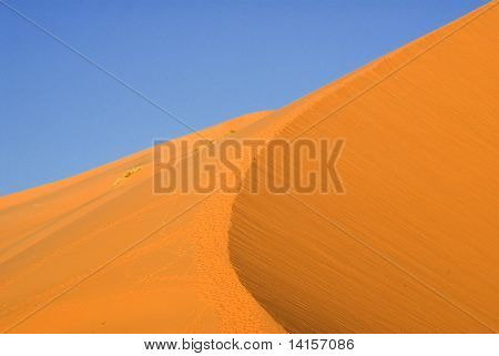 sandy backgrouns