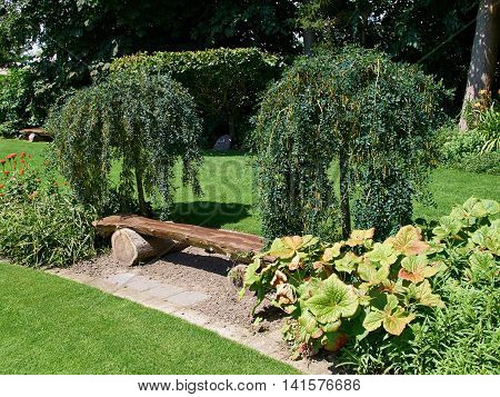 Beautiful creative wooden bench in a lush green blooming garden