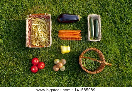 Freshly harvested home grown vegetables lying orderly on grass - beans tomatoes pepper carrots aubergine zucchini onions