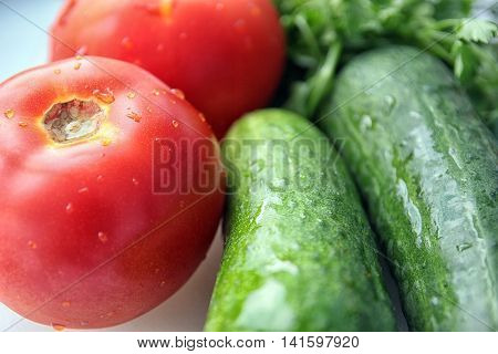 ingridients for hit of summer season fresh vegetable salad tomatoes cucumbers parsley and dill closeup